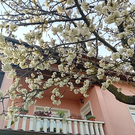 Apartman Nada Krapina Dış mekan fotoğraf