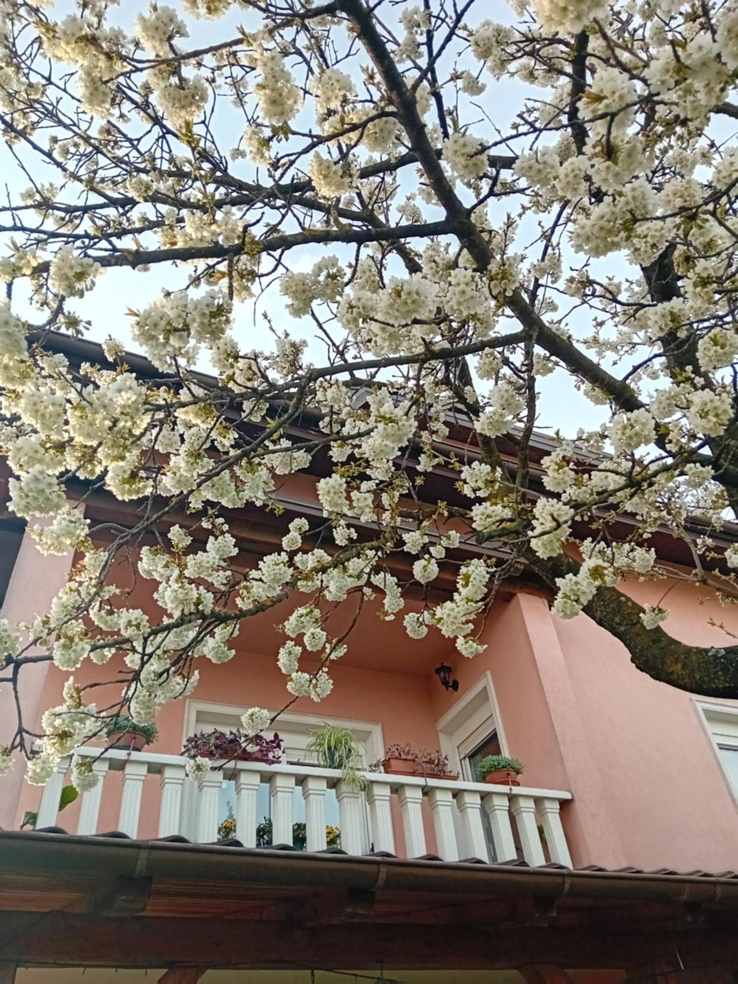 Apartman Nada Krapina Dış mekan fotoğraf